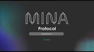 what-is-mina-digital-currency